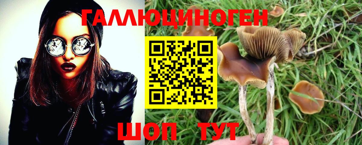 Галлюциногенные грибы GOLDEN TEACHER Ефремов