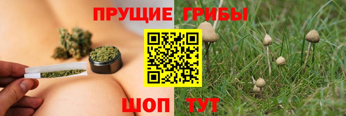 Ефремов  Псилоцибиновые грибы GOLDEN TEACHER  Вход с VPN 